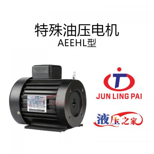 特殊油压电机AEEHL型