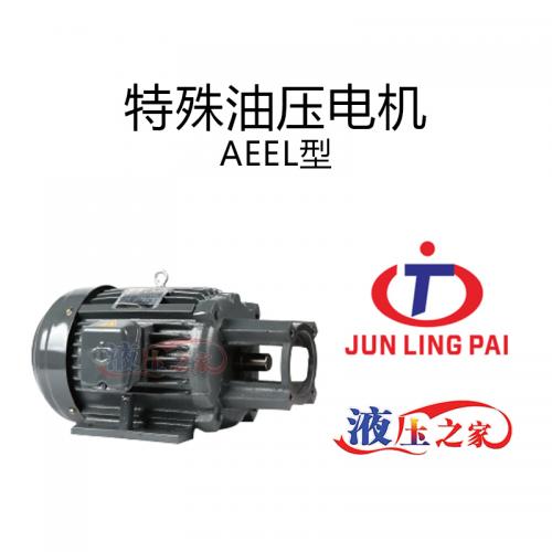 特殊油压电机AEEL型