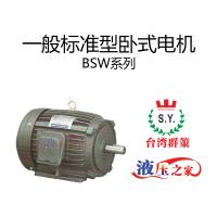 BSW一般标准型卧式电机