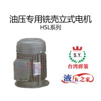 HSL油压专用铣壳立式电机