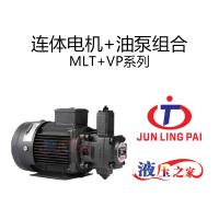 连体电机+油泵组合MLT+VP
