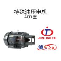 特殊油压电机AEEL型