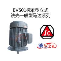 BVS01标准型立式铣壳一般型马达系列